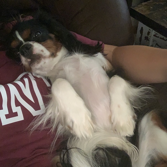 Hi, I'm Jennifer from Texas β€οΈ - Picture 8 of 12